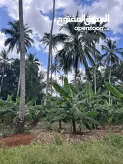  7 مزرعة في Zanzibar  مايقرب الطول 3كيلو والعرض 2 كيلو