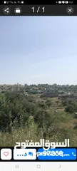  1 ارض للبيع في منطقه بيرزيت  مساحه، 500متر,صالحه للبناء