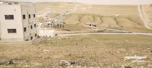  1 جريبا جوفة ذياب