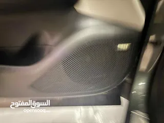  10 مهند شافعي ابو تيم