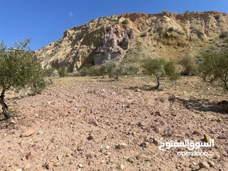  10 ارض للبيع / الصبيحي 18 دونم تقع على شارع رئيسي ‏بإطلالة مميزة وجميلة ويوجد بجانبها مطعم