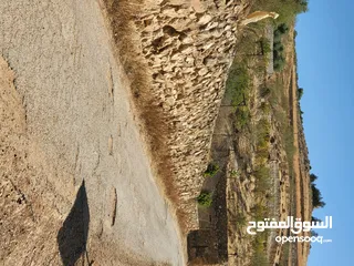 16 للبيع مزرعة زيتون بأجمل مناطق جرش ومن المالك فقط ب 11 الف دينار  يا بلاش