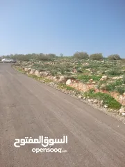  2 مزرعه للبيع في بيرين بالقرب من شفا بدران مساحه 3500 م قوشان مستقل على 3 شوارع  