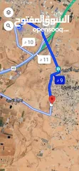  4 للبيع قطعة أرض 830 م في الذهيبه الشرقيه شارع 16 كافه الخدمات