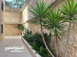  2 شقه للبيع مع حديقه في المصيون قرب سبحافريدو