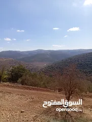  7 أرض مميزة للبيع