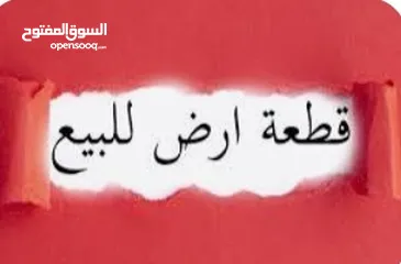  5 قطعة ارض زراعي للبيع تفاصيل بالوصف