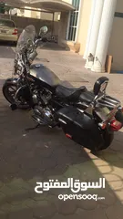  3 Harley-Davidson Sportster 1200