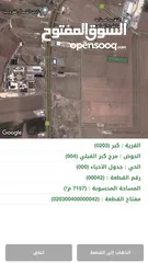  1 7 دونمات مقابل جامعة جدارا- النعيمه