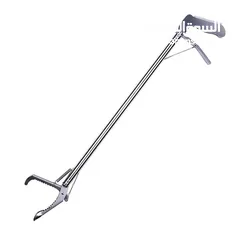  5 عصاة الزواحف