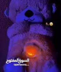  1 دبدوب يتنفس  دب