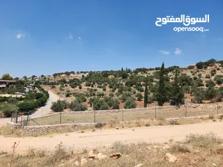  4 ارض مميزه للبيع في بدر الجديده  على شارعين بالقرب من الكاشف 1090م ذات اطلاله جميله