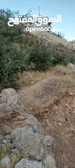  1 قطعة أرض طابو للبيع