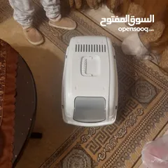  5 قطه أليف لبيع أو للبدل