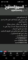  5 لحامين لذبح الاضاحي عجول و خرفان