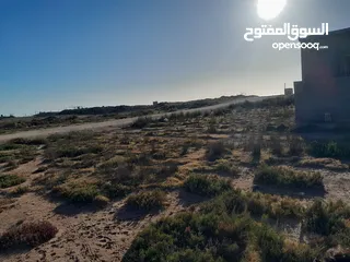  3 قطعة أرض فاضيه في الترية قبل شيل بنزينة  موقعها ثاني قطعة قبل شط البحر