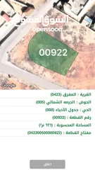  1 قطعة ارض في محافظة المفرق - الجيعة الشمالي