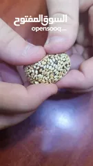  3 تمر بالطحنيه محشي  ونكهه التمر بالزعفران