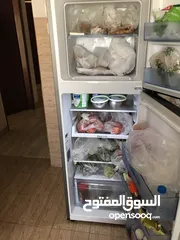  1 Fridge 1 year old