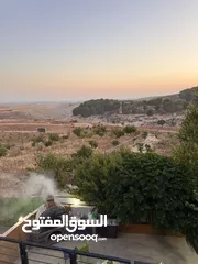  6 مزرعه برادايس اربد سما الروسان للإجارات اليوميه فقط 99 دينار والسهرات فقط 80 دينار