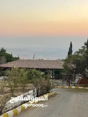  12 مزرعة للإيجار للعائلات فقط في عمان,تركي مطلة على البحر الميت و الضفة الغربية
