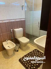  20 شاليه/ مزرعه للبيع بالشونه الجنوبيه بجانب الجندي المجهول