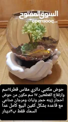  5 حواض مع قاعده