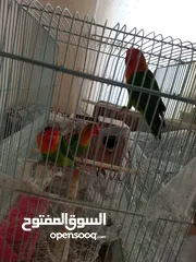  10 ثلاجة 11.5قدم مستعمله بسعر حرق غسالة سامسونج 7كيلو بسعر حرق خزانة شبابية طابقين استعمال بسيط
