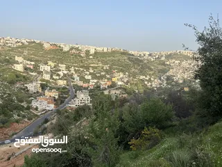  3 قطعه ارض ب منطقة بدر مساحة 2 دونم