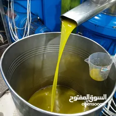  8 زيت زيتون الكفارات بعل بكر إنتاج 2024_2025