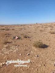  9 ارض للبيع شرق جامعة العلوم والتكنولوجيا