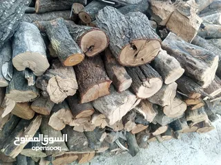  2 حطب زيتون ولوز وحمضيات ناشف مقطع حسب الطلب