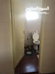 3 منزل منعزل مع حديقة فواكه 3 غرف صاله مجلس بلكون مطبخ مجهز مواقف سيارات