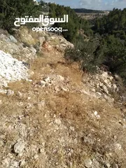  5 ارض للبيع في صوريف