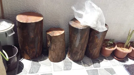  1 جذوع خشبية من شجر الكينيا / 4 قطع