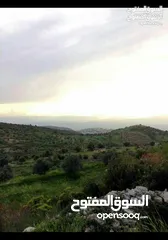  6 قطعة أرض مميزة في عجلون مطلة على جبال فلسطين مفروزة بقوشان مستقل من المالك مباشرة