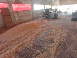  5 جاروشه وكساره