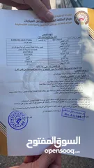  6 توسان 2017 ماتور 2000 ديزل