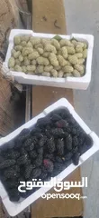  1 يوجد توت ابيض اسود
