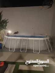  13 مسبح INTEX الامريكي بطول 5.05متر وعرض 2.74متر وعمق رهيب 1.22متر وبسعر حصري ومميز واقلىسعر في الاسواق