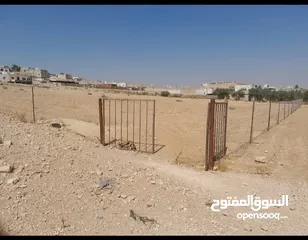 1 قطعة أرض 4 دونم و 632 متر في بلعما منطقة الزيتونه