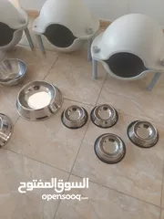  1 أغراض قطط للبيع في حالة الوكالة