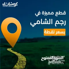  11 ارض سكنية استثمارية في رجم الشامي على بعد 1 كم نت شارع المية بسعر مميزز جدا