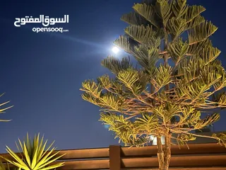  6 شقه فاخره  200 متر +روف وتراس 110 ديكورات فاخره وجاهزه للسكن