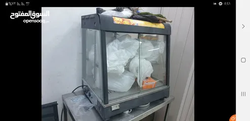  7 جرل شوي على الحجر