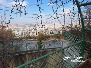  8 فيلا مميزة مطله على مرتفعات جرش والسلط  للبيع