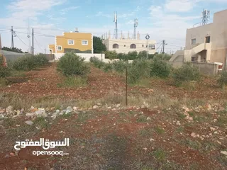  1 قطعة ارض للبيع