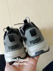  27 حذاء .Puma  اصلي بحال الوكاله لساته جديد وارد أروبي  الواحد ب 35
