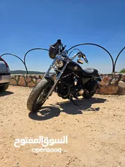  12 Harley Davidson Sportster Custom XL 1200
