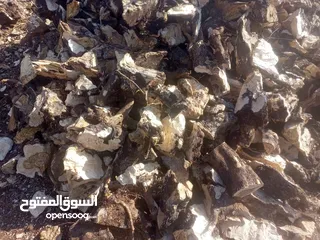  8 السلام عليكم ورحمه الله وبركاته يوجد لدينا حطب زيتون زند وقرمي ناشف للبيع